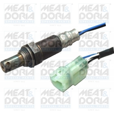 Oxygen Sensor